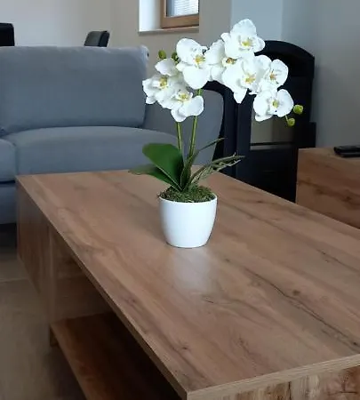 Near Ljubljana, Sleeps 8, Free Parking Daire